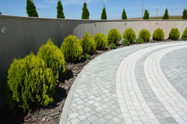 Best Driveway Paving Contractor  in Erwin, NC
